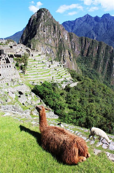 o que fazer no peru - o que é ipca